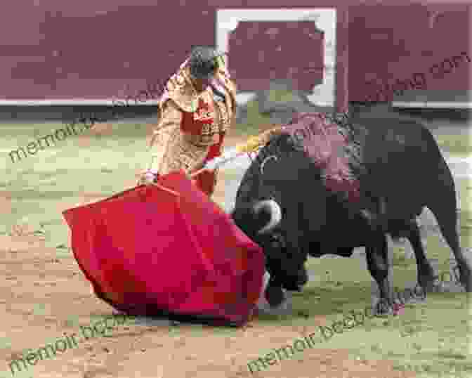 A Bullfighter Standing In The Ring, Facing A Charging Bull Flamenco And Bullfighting: Movement Passion And Risk In Two Spanish Traditions