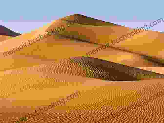 A Desert In Saudi Arabia All The Sand In The Desert Can T Cover Up The Beauty Of Saudi Arabia Geography Grade 3 Children S Geography