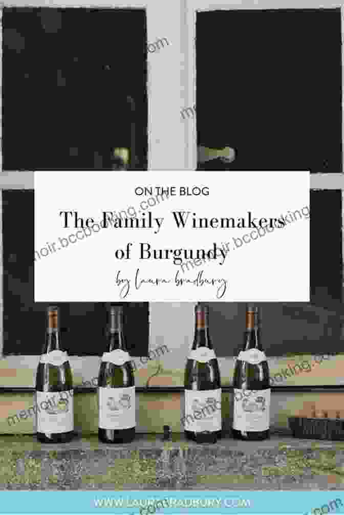 A Family Of Winemakers In Burgundy Pinot Girl: A Family A Region An Industry