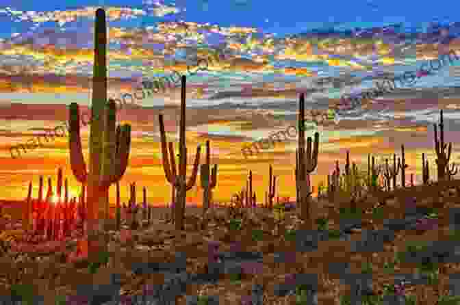 A Panoramic View Of The Sonoran Desert In Arizona, With Towering Saguaro Cacti, Rolling Sand Dunes, And Distant Mountains. Geography Of The US Western States (California Arizona Colorado And More Geography For Kids US States 5th Grade Social Studies