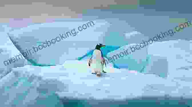 A Penguin Standing On Ice The Coldest Tundra Arctic Antarctica Animal Wildlife Children S Polar Regions