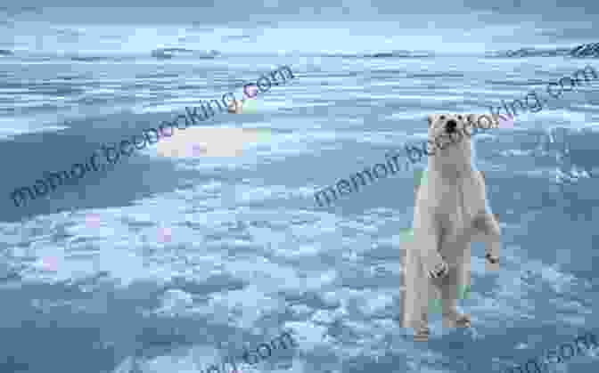 A Polar Bear Standing On Ice The Coldest Tundra Arctic Antarctica Animal Wildlife Children S Polar Regions