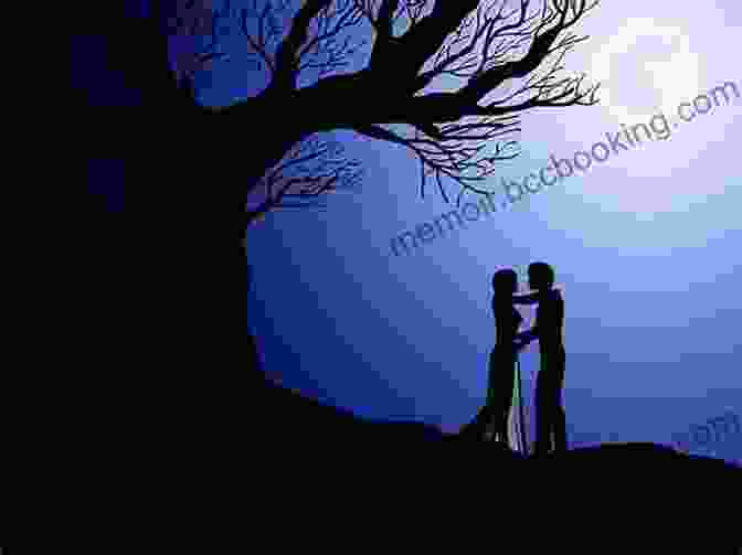 A Silhouette Of A Tango Couple Dancing Under The Moonlight The Beauty Of The Husband: A Fictional Essay In 29 Tangos (Vintage Contemporaries)