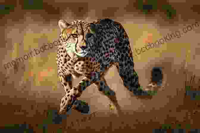 A Sleek Cheetah Sprinting Across The Savanna, Its Spotted Coat And Long Tail Blurring In Motion National Geographic Readers: Cheetahs Arnold Lobel