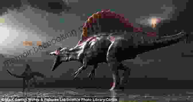A Spinosaurus Emerges From The Water, Displaying Its Massive Sail And Sharp Teeth The Scariest Dinosaur 2nd Ed