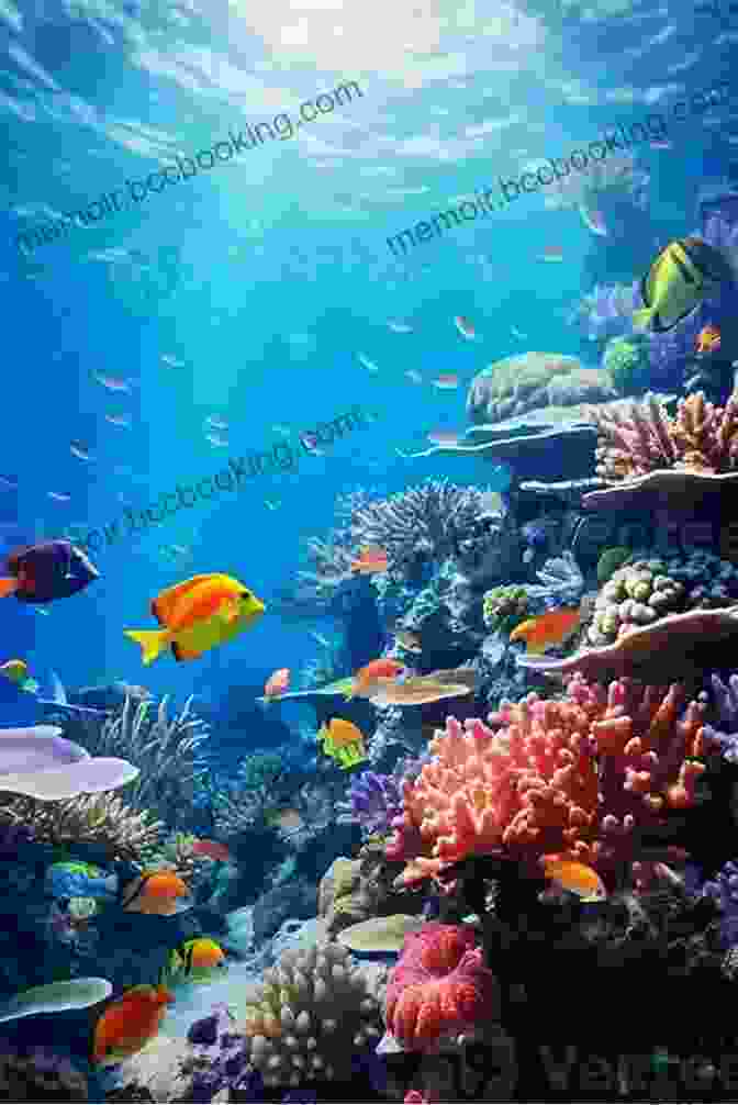 A Vibrant Ocean Scene Teeming With Colorful Coral, Exotic Fish, And Playful Sea Creatures Sharky And Mia The Mermaid
