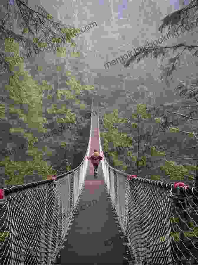 Adventurous Hikers Crossing The Lynn Canyon Suspension Bridge The Glorious Mountains Of Vancouver S North Shore: A Peakbagger S Guide