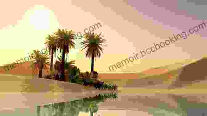 An Oasis In Saudi Arabia All The Sand In The Desert Can T Cover Up The Beauty Of Saudi Arabia Geography Grade 3 Children S Geography