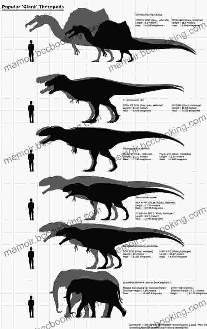 Comparison Of Forearm Size In Theropod Dinosaurs Why Are The T Rex S Forearms So Small? Everything About Dinosaurs Animal 6 Year Old Children S Animal