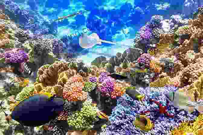 Coral Reefs And Marine Life Of The Great Barrier Reef Australia And Oceania : The Smallest Continent Unique Animal Life Geography For Kids Children S Explore The World