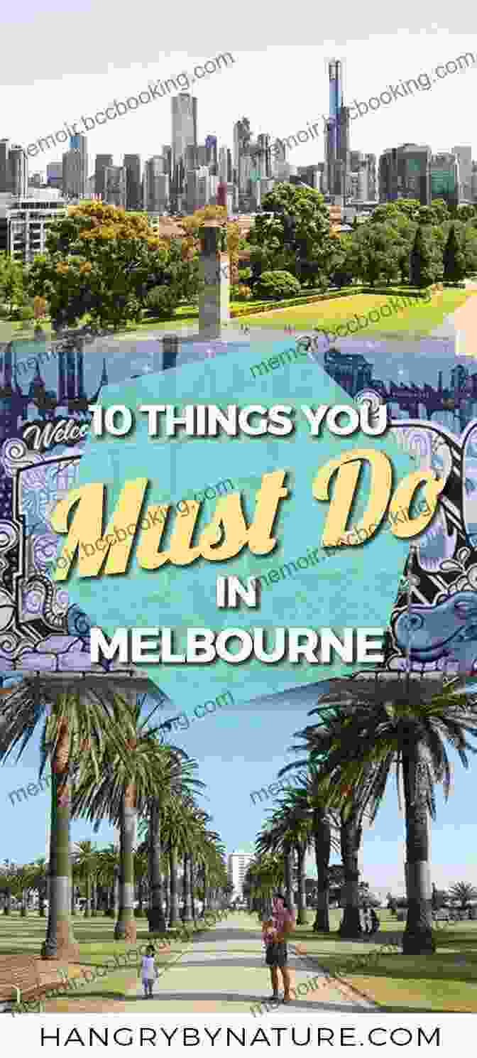 Dandenong Ranges Top 12 Things To See And Do In Melbourne Top 12 Melbourne Travel Guide