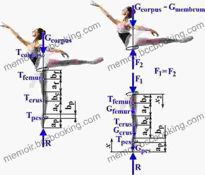 Diagram Illustrating The Physics Of Ballet, Including Centripetal Force And Body Alignment. Both Sides Of The Mirror: The Science And Art Of Ballet