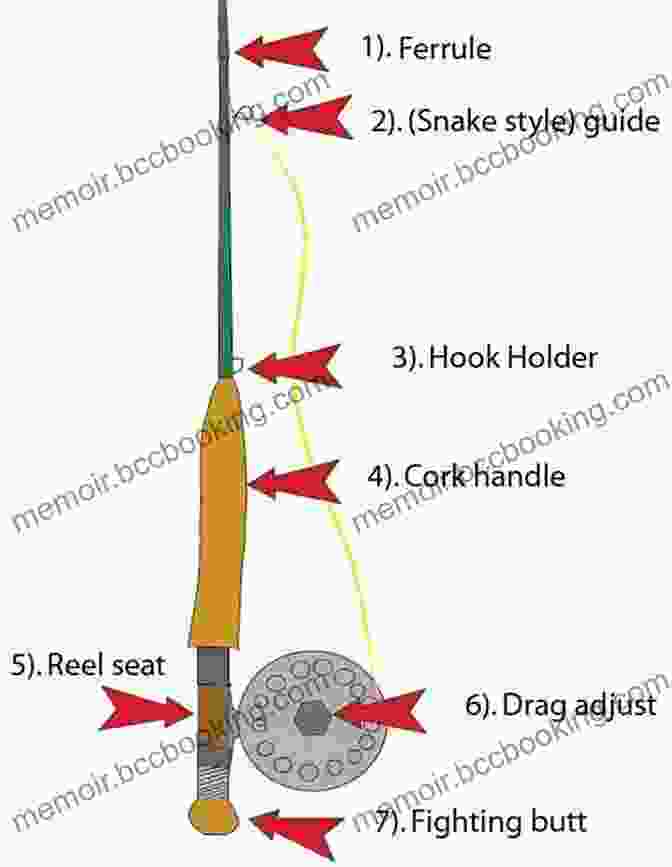 Diagram Of A Fly Rod, Showing The Different Components. Fly Rod Building Made Easy: A Complete Step By Step Guide To Making A High Quality Fly Rod On A Budget