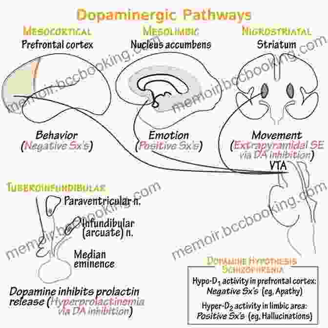 Dopamine: The Reward Pathway Get It Done: Surprising Lessons From The Science Of Motivation