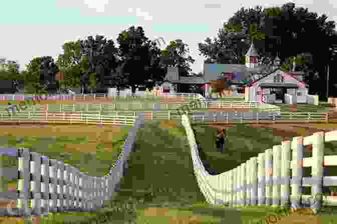 Exterior Of Calumet Farm In Lexington, Kentucky Wild Ride: The Rise And Tragic Fall Of Calumet Farm Inc America S Premier Racing Dynasty