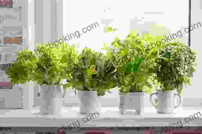 Herbs Growing In A Pot Dig In : 12 Easy Gardening Projects Using Kitchen Scraps