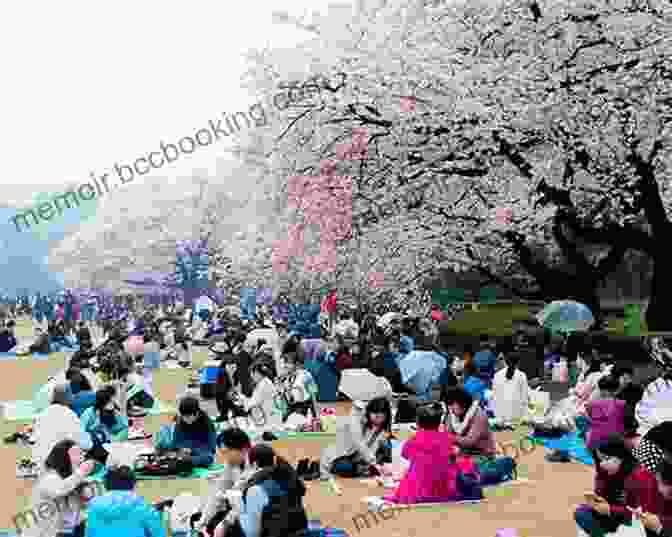 Image Of Jeon And Min Embracing, Surrounded By Cherry Blossoms XOXO Axie Oh