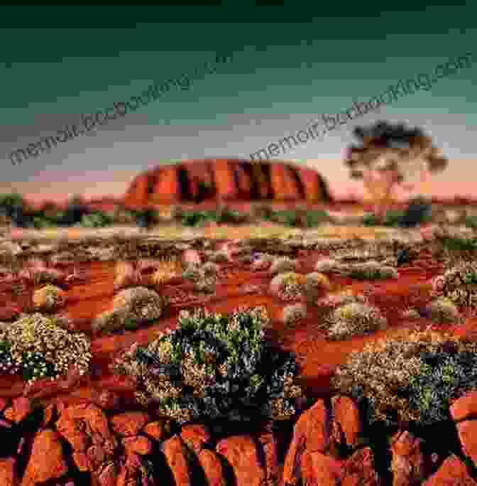 Kids Watching Sunset At Uluru Around The Globe Must See Places In Australia: Australia Travel Guide For Kids (Children S Explore The World Books)