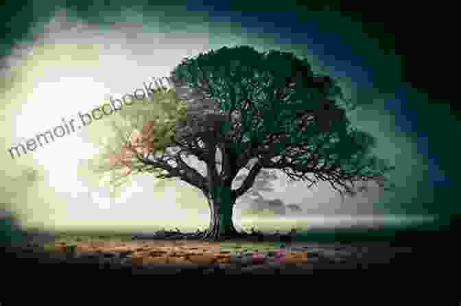 Majestic Tree Reaching Towards The Sky, Symbolizing Connection And Spirituality The Gospel Of Trees: A Memoir