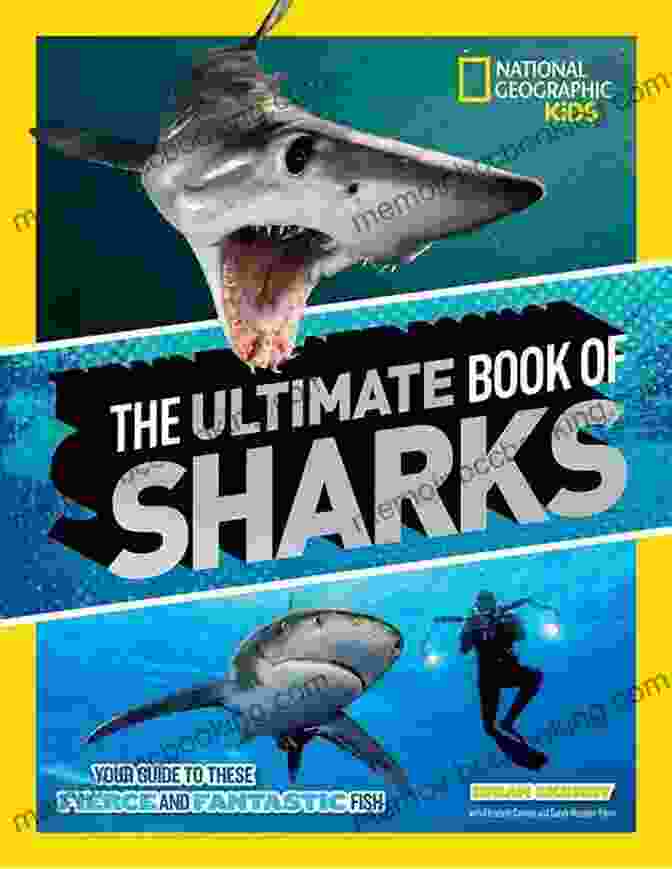 National Geographic Readers: Sharks Book Cover National Geographic Readers: Sharks Anne Schreiber