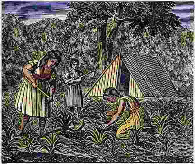 Native Americans Engaged In Agriculture, Hunting, And Traditional Medicine EXPLORE NATIVE AMERICAN CULTURES : WITH 25 GREAT PROJECTS (Explore Your World)