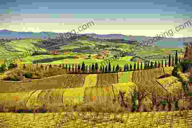 Panoramic View Of A Rolling Italian Countryside With Vineyards Italy (Country Guides With Benjamin Blog And His Inquisitive Dog)