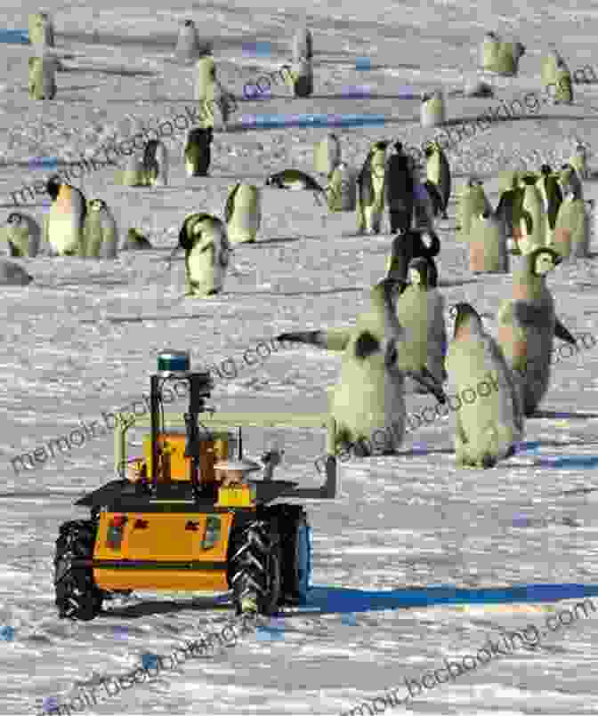 Scientists Monitoring Penguins In Antarctica Tourism In Antarctica: A Multidisciplinary View Of New Activities Carried Out On The White Continent (SpringerBriefs In Geography)