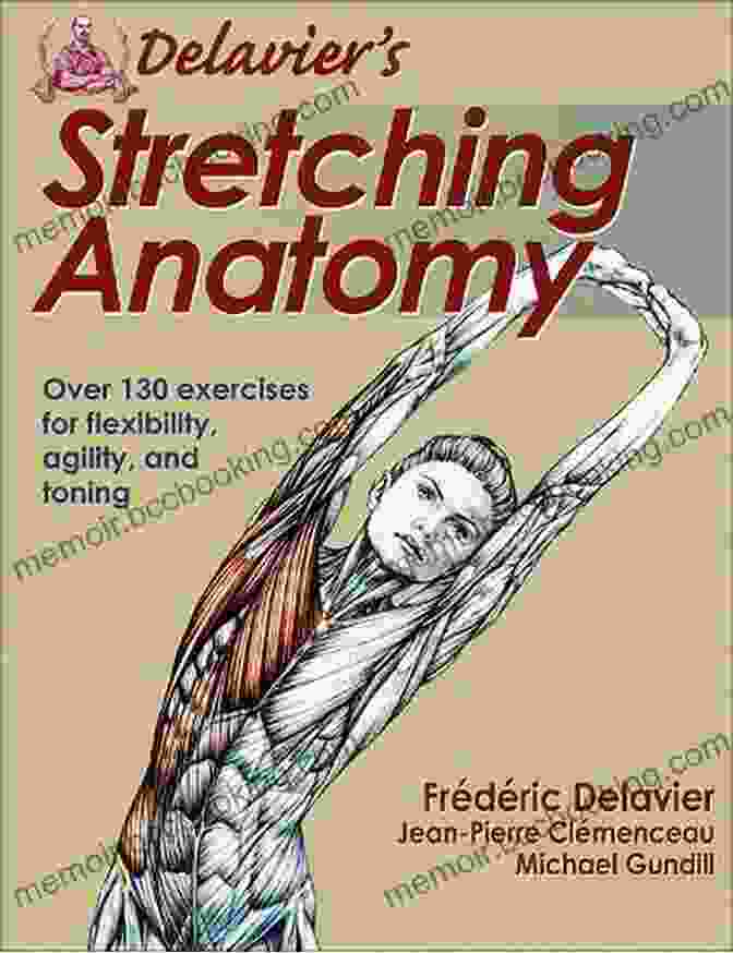 Stretching Anatomy Book Cover, Featuring An Illustration Of A Man Stretching His Leg Muscles Stretching Anatomy Arnold G Nelson