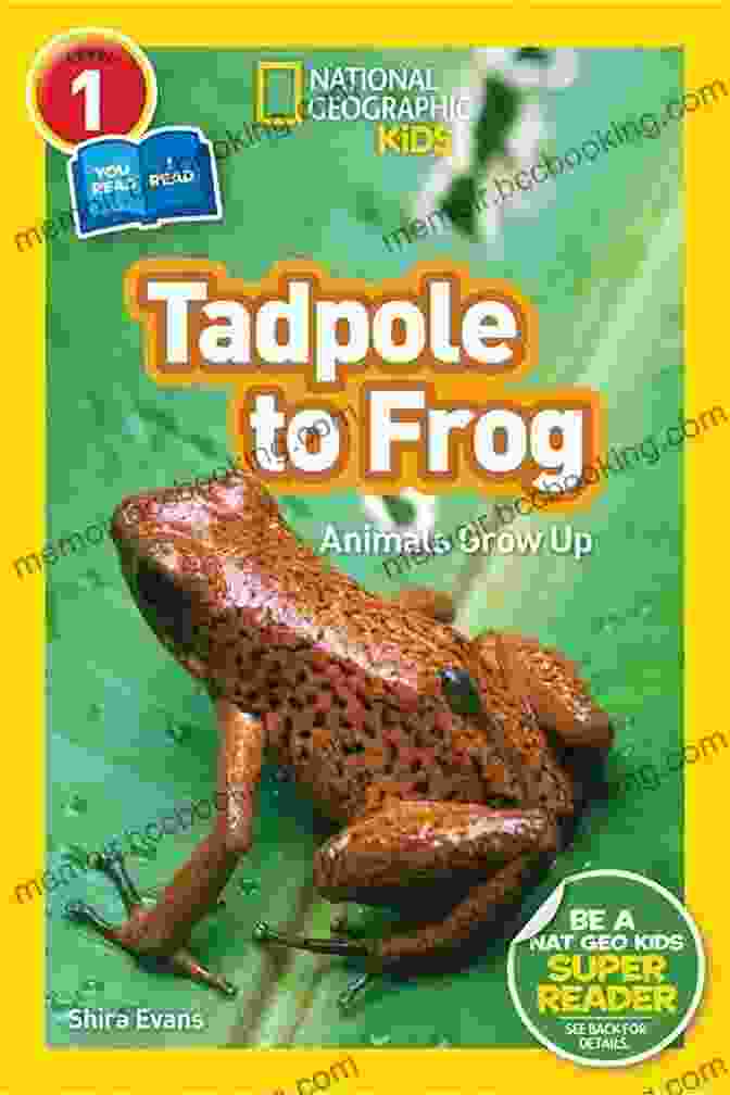 Tadpole To Frog L1 Co Reader A Beautifully Illustrated Book About The Metamorphosis Of A Tadpole Into A Frog National Geographic Readers: Tadpole To Frog (L1/Co Reader)