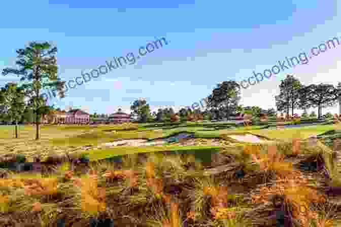The Cradle At Pinehurst Golf Course With Classic Bunkering The Finest Nines: The Best Nine Hole Golf Courses In North America