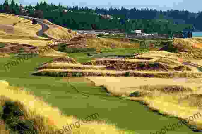 The Short Course At Chambers Bay Golf Course With Native Grasses The Finest Nines: The Best Nine Hole Golf Courses In North America