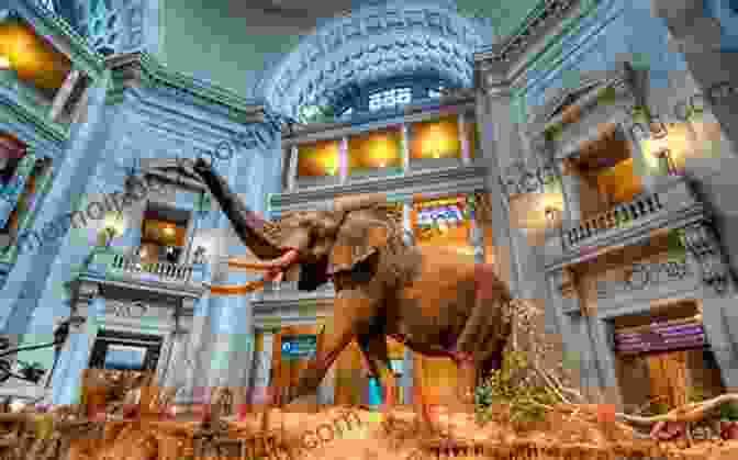 The Smithsonian National Museum Of Natural History, One Of The Many Museums In The Smithsonian Complex Places To Visit In Washington DC Geography Grade 1 Children S Explore The World