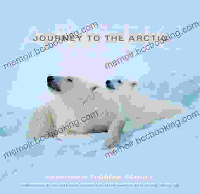 The White Darkness: A Journey Across The Arctic Circle Book Cover Polar Region Explorers 2 Bundle: River Rough River Smooth / Arctic Naturalist