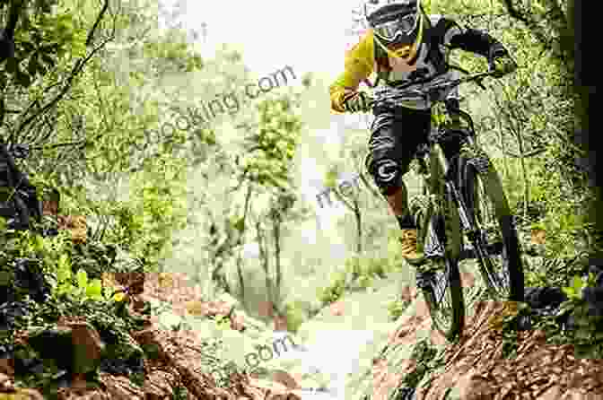 Valentina Höll Navigating A Challenging Downhill Mountain Biking Course With Speed And Precision, Showcasing Her Remarkable Skills And Determination Thrill Seekers: 15 Remarkable Women In Extreme Sports (Women Of Power 1)