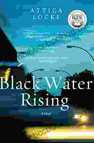 Black Water Rising: A Novel (Jay Porter 1)
