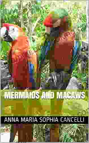 Mermaids And Macaws Anna Maria Sophia Cancelli