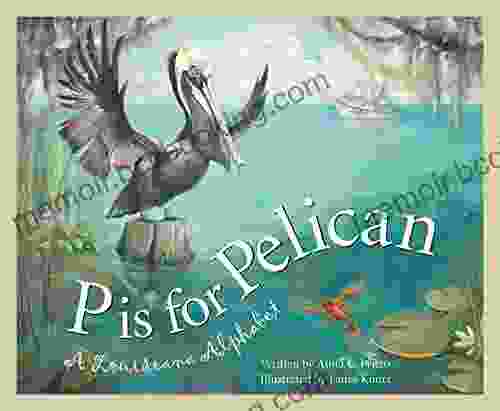 P Is For Pelican: A Louisiana Alphabet (Discover America State By State)