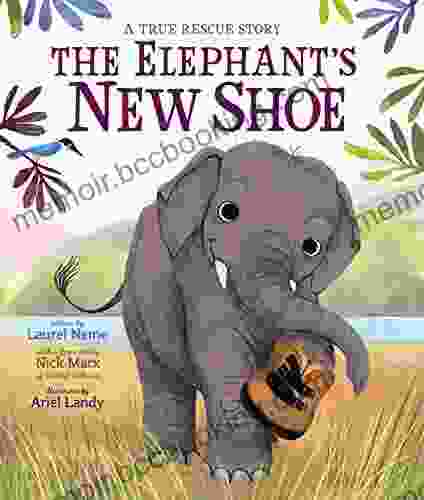 The Elephant S New Shoe Ariel Landy