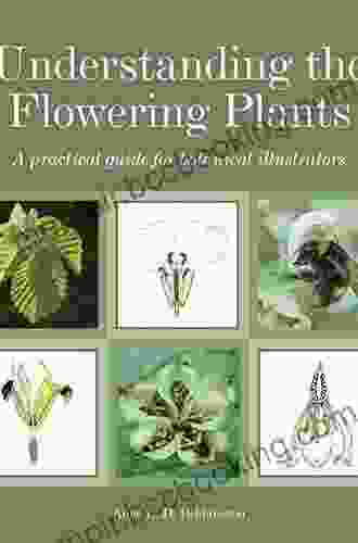 Understanding The Flowering Plants: A Practical Guide For Botanical Illustrators