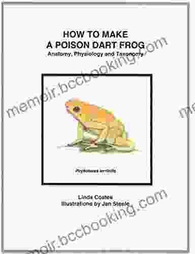 How To Make A Poison Dart Frog: Anatomy Physiology And Taxonomy
