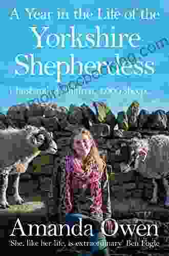 A Year In The Life Of The Yorkshire Shepherdess